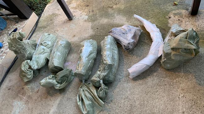 Окаменелые останки мамота, обнаруженные таможенниками в посылке в Арабские Эмираты