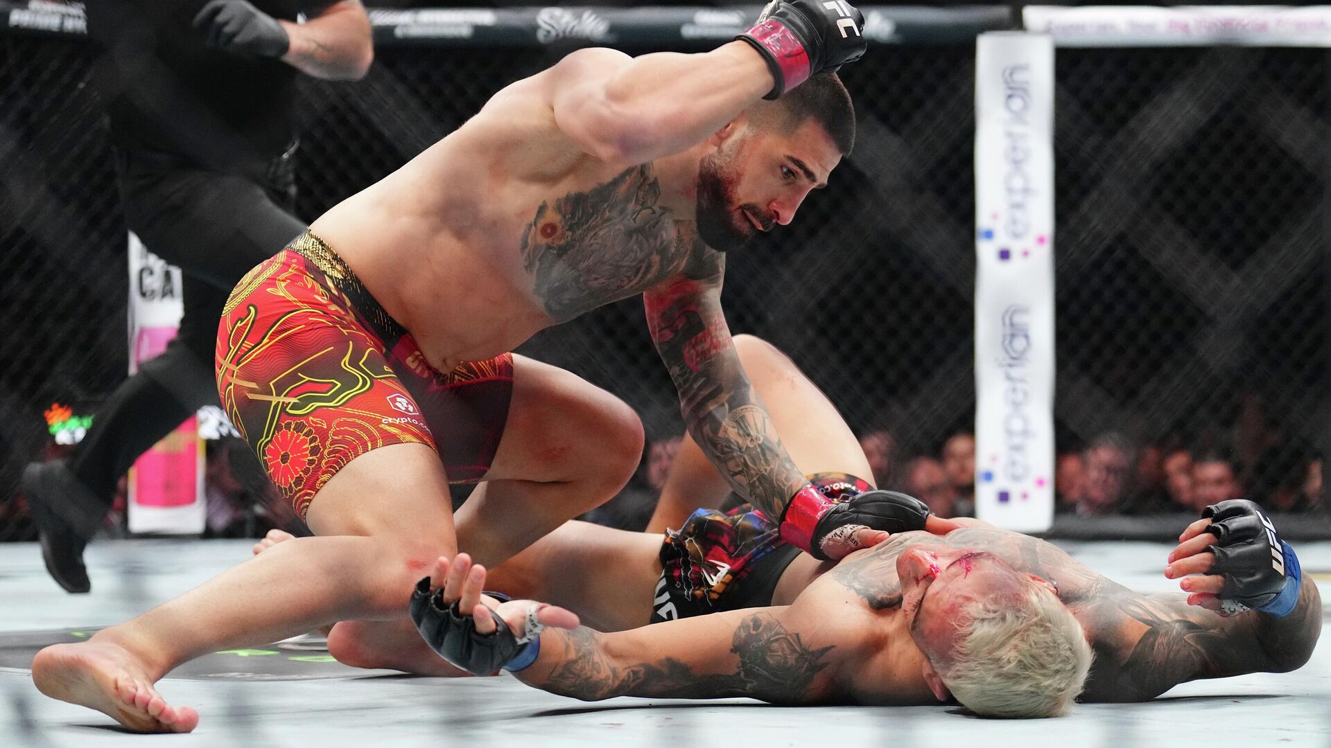 Илия Топурия в бою на UFC 317 Илия Топурия в бою на UFC 317 - РИА Новости, 1920, 29.06.2025