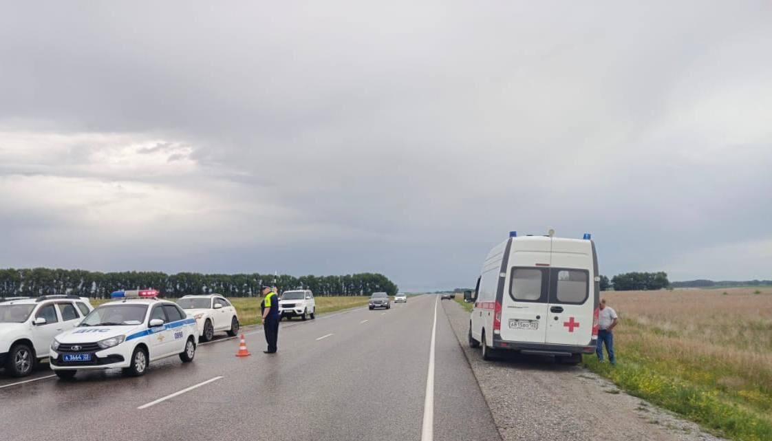 Сотрудники полиции работают на месте ДТП в Алтайском крае, в котором погибли люди Сотрудники полиции работают на месте ДТП в Алтайском крае, в котором погибли люди - РИА Новости, 1920, 30.06.2025
