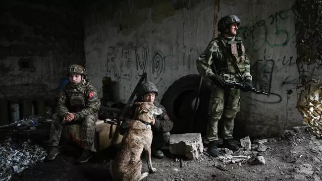 Зона СВО
