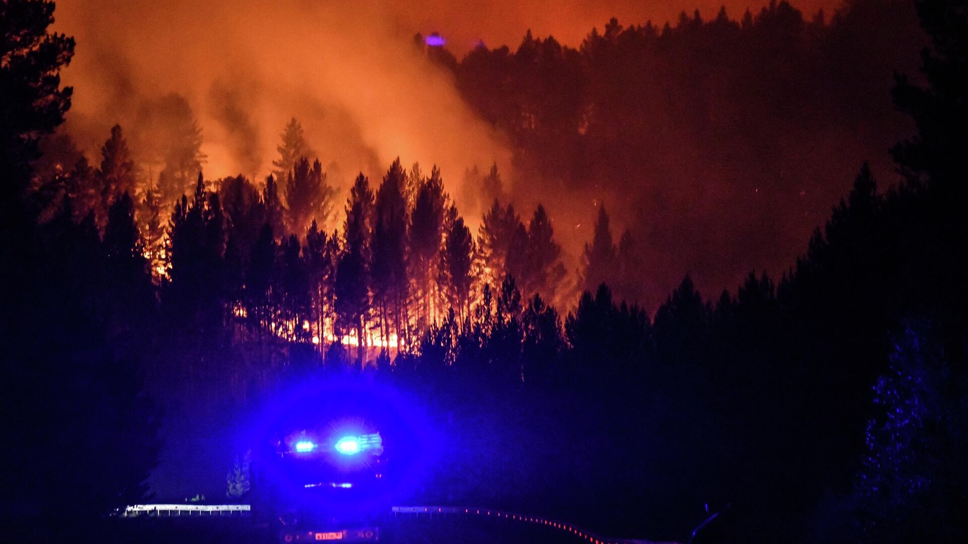 Лесной пожар в Забайкальском крае - РИА Новости, 1920, 22.07.2025
