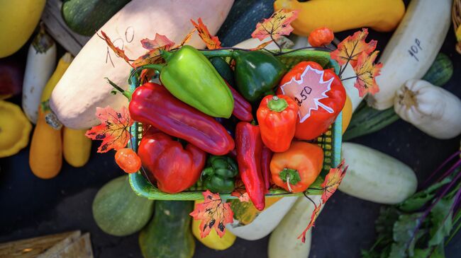 Выставка-ярмарка Дары Подмосковья в Луховицах