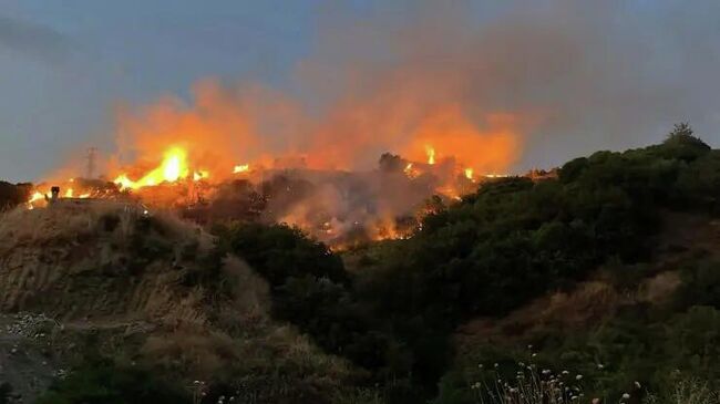 Лесной пожар в Турции