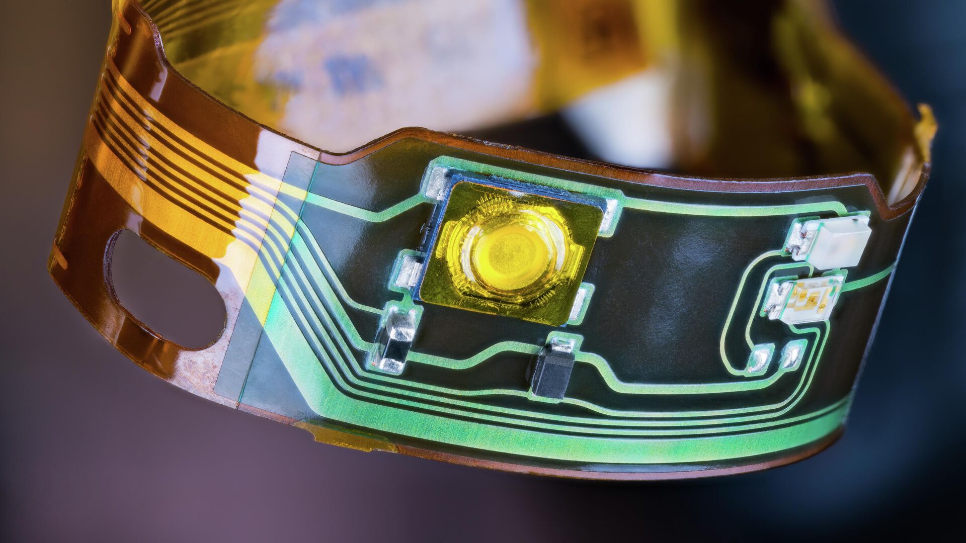 Гибкая электроника Гибкая электроника - РИА Новости, 1920, 03.07.2025