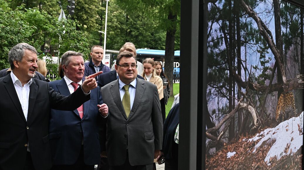 В России устранили угрозу вымирания амурского тигра