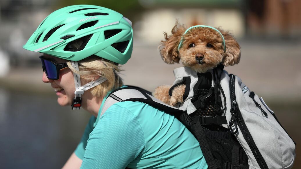 Самые классные велотуры: как готовиться, куда ехать, что смотреть