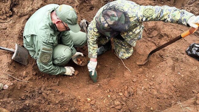 СК обнаружил останки жертв немецко-фашистских захватчиков на территории дома в Псковской области