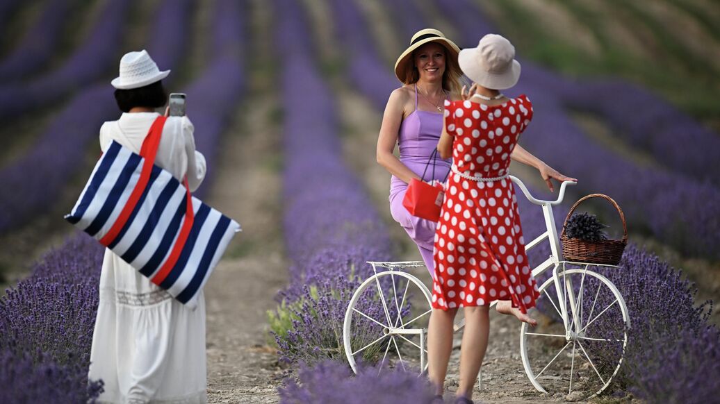 Места для самых лучших фотографий. В Крыму цветут лавандовые поля