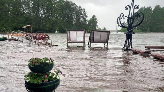 Подтопление в Сестрорецке