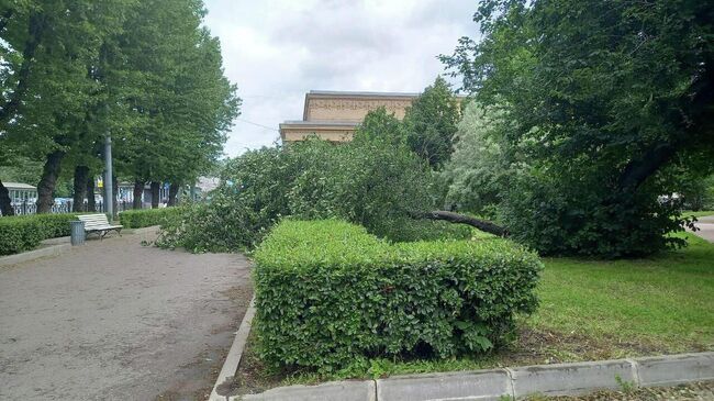 Последствия сильного ветра в Санкт-Петербурге. 4 июля 2025