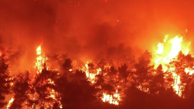 В дыму и пламени: лесные пожары  в провинции Измир