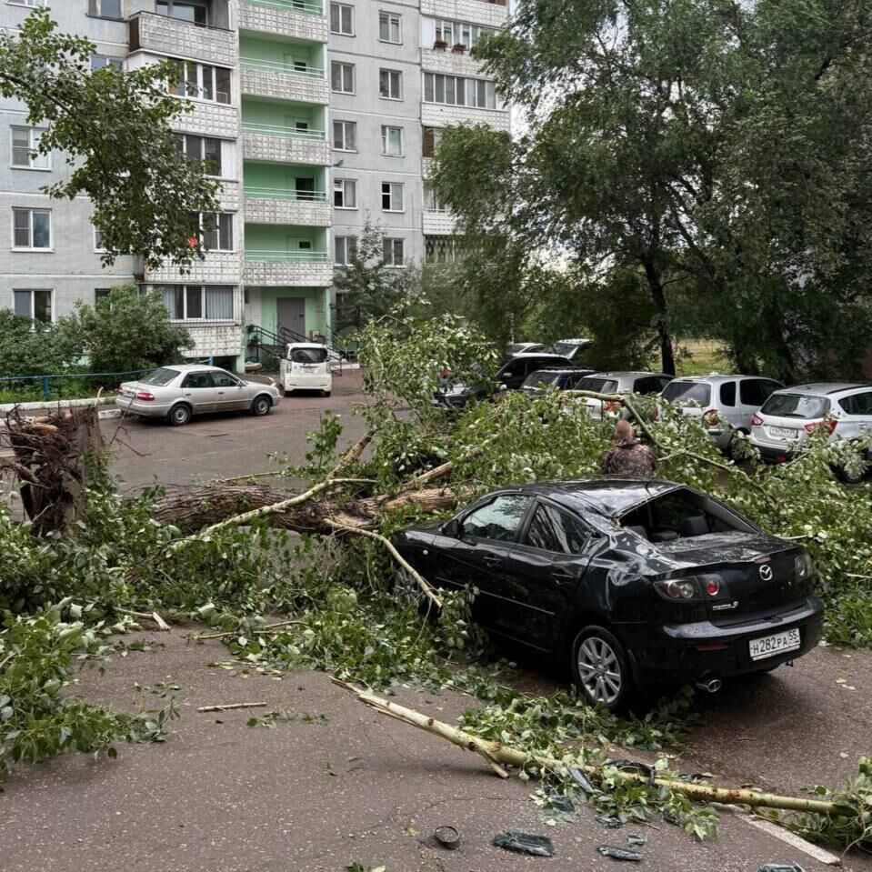 Последствия сильного ветра в Омске Последствия сильного ветра в Омске - РИА Новости, 1920, 05.07.2025