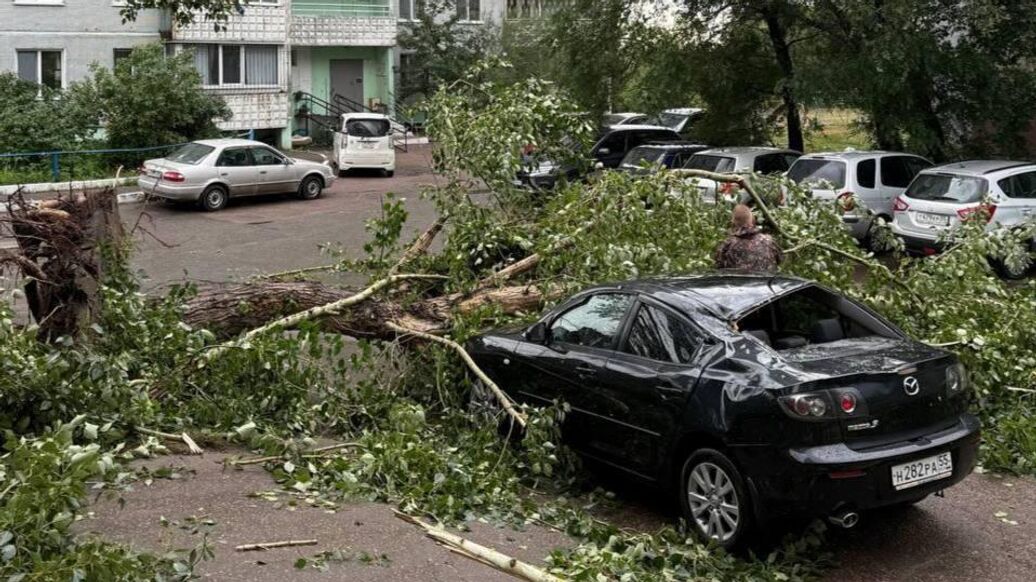 Омскую область накрыли ураганный ветер и дождь