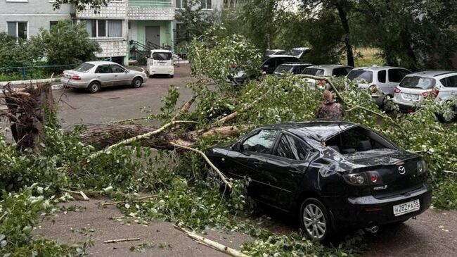 Последствия сильного ветра в Омске