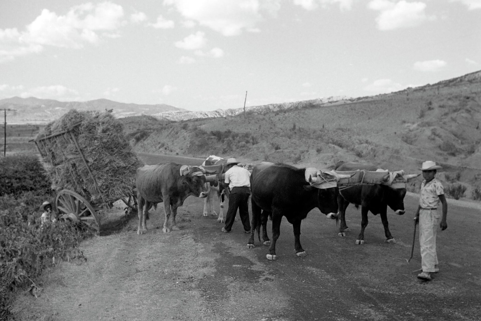 Сельская местность в Мексике, 1963 год Сельская местность в Мексике, 1963 год - РИА Новости, 1920, 06.07.2025