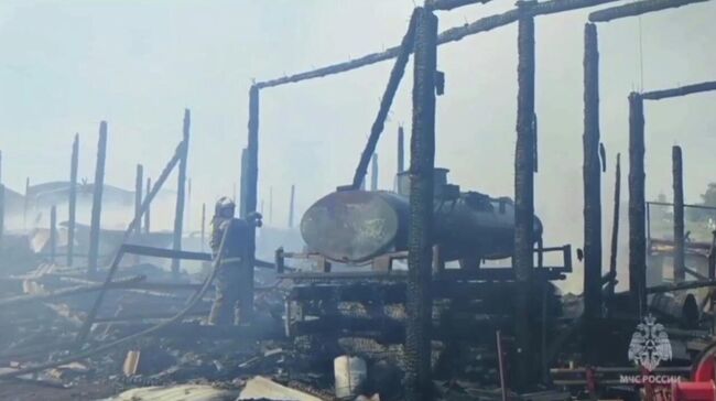 Ликвидация пожара в деревне Усть- Куда в Иркутской области. Кадр видео