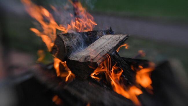 Горящие дрова в мангале на участке в коттеджном посёлке