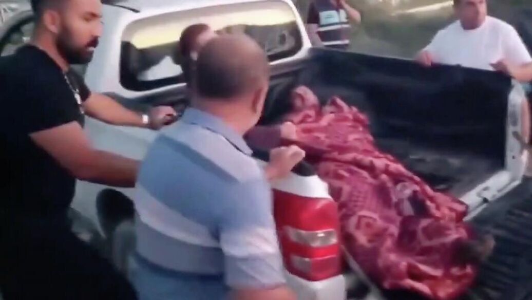 В Анталье лев вырвался из клетки и напал на местного жителя