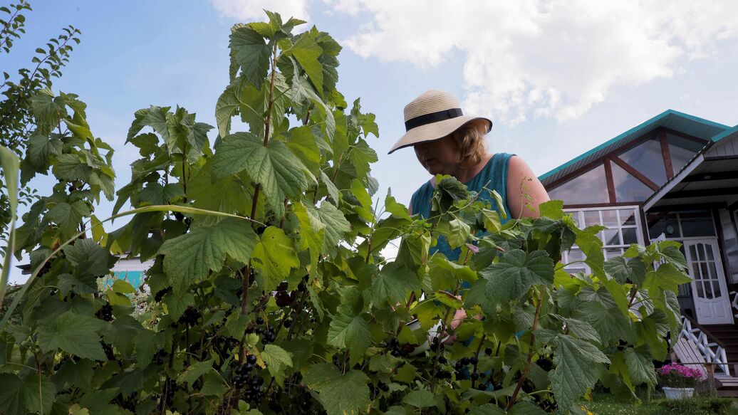 Раскрыто, когда за ремонт на даче могут оштрафовать