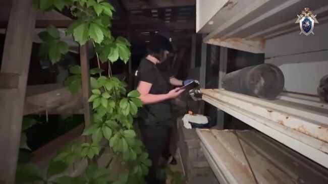 Допрос школьника, напавшего с молотком на девочек