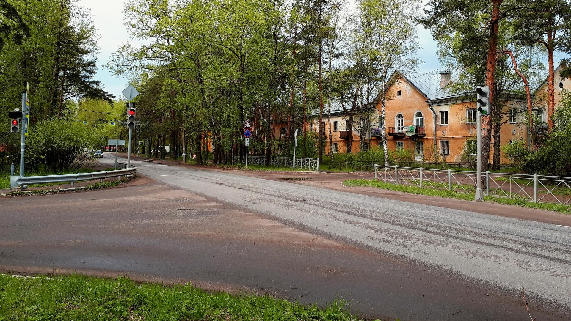 В Ленобласти волонтеры пытаются пристроить 40 кошек из приюта "Тимошка"