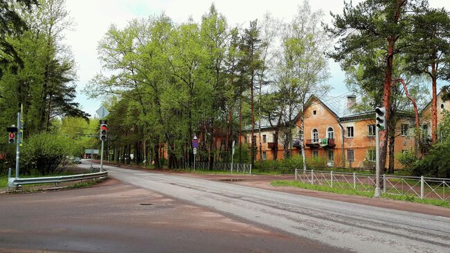 Большая Ижора