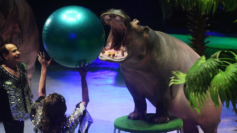 Аттракцион Гиппопотамус под руководством Тофика и Людмилы Ахундовых на всемирном фестивале циркового искусства Идол в Москве