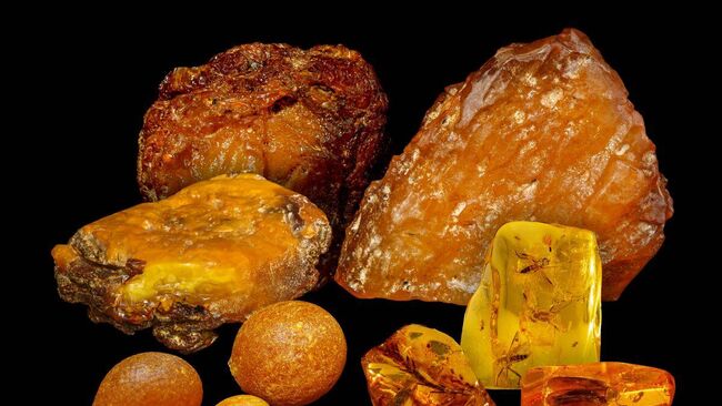 Янтарные самородки, которые будут представлены на единственном в мире аукционе янтаря в рамках VIII Международного янтарного форума AmberForum - 2025