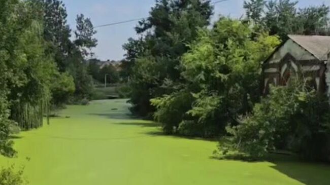 Река Гнилуша в Красном Сулине Ростовской области. Кадр видео из соцсетей