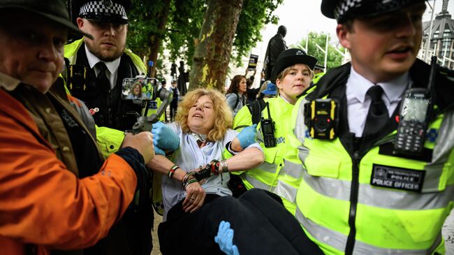 Задержание на протестах в поддержку пропалестинской группы Palestine Action в Лондоне