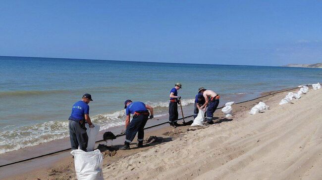 В Темрюкском районе Краснодарского края обнаружили новые выбросы мазута