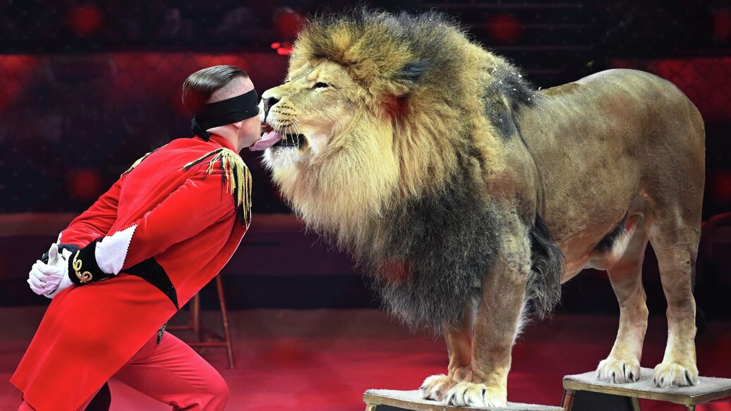 Настоящий танк на манеже и смертельные трюки: цирковой "Идол" поразил всех