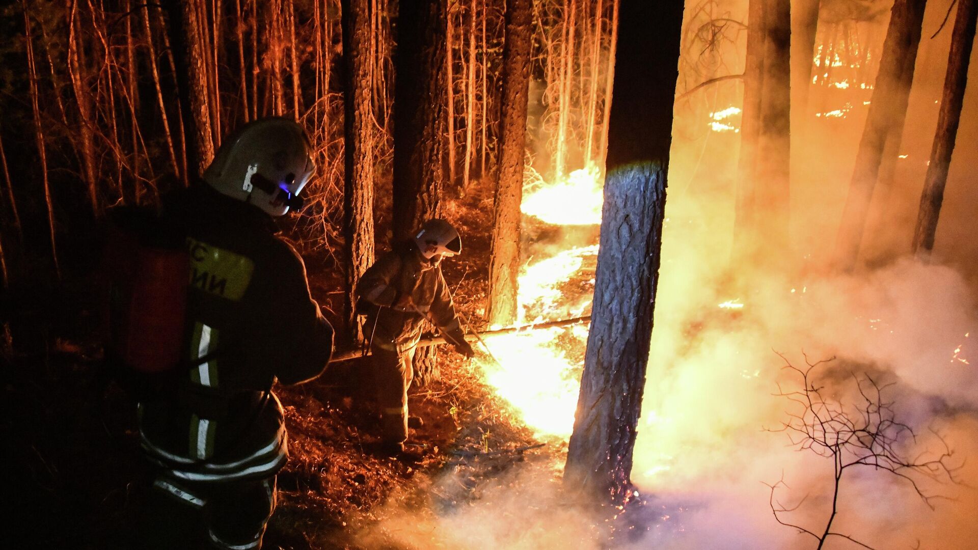 Сотрудники противопожарной службы тушат лесной пожар недалеко от поселка Атамановка в Забайкальском крае - РИА Новости, 1920, 22.07.2025