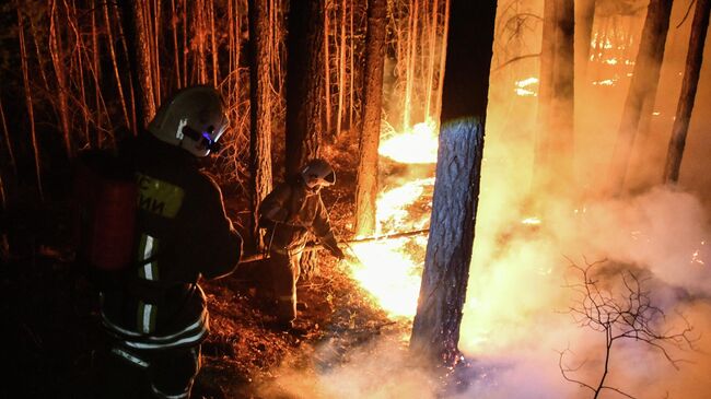 Сотрудники противопожарной службы тушат лесной пожар недалеко от поселка Атамановка в Забайкальском крае