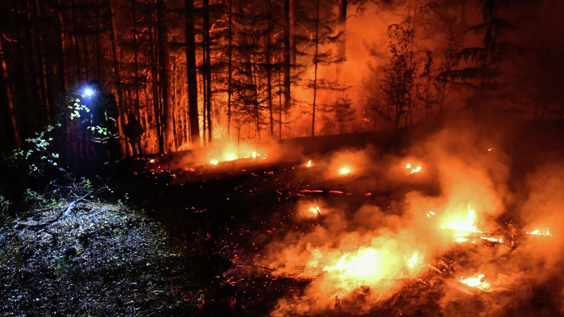 Сотрудники противопожарной службы тушат лесной пожар недалеко от поселка Атамановка в Забайкальском крае  - РИА Новости, 1920, 22.07.2025