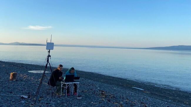 Краснокнижным гренландским китам в Охотском море установили спутниковые передатчики с помощью беспилотника