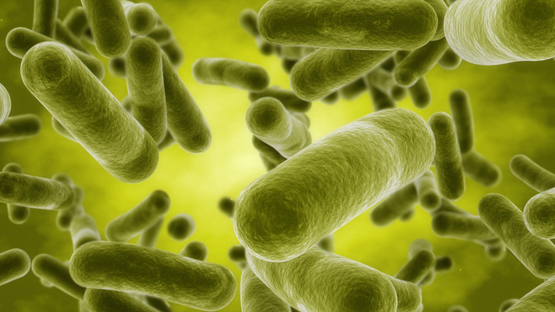 Бактерия Бактерия - РИА Новости, 1920, 24.07.2025