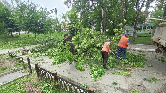 Ликвидация последствий сильного ливня с мощными порывами ветра в Хабаровске
