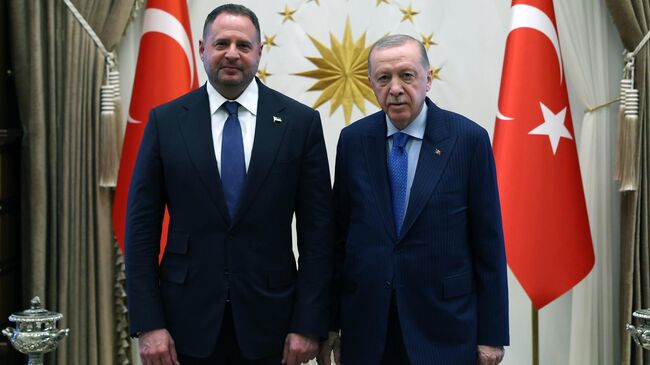 Президент Турции Тайип Эрдоган во время встречи с Андреем Ермком в Анкаре. 23 июля 2025