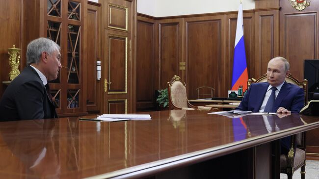 Президент РФ Владимир Путин и председатель Государственной Думы РФ Вячеслав Володин во время встречи