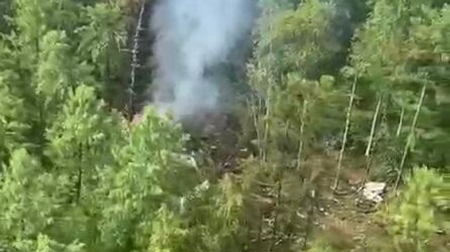 Место крушения самолета Ан-24 авиакомпании Ангара в Амурской области