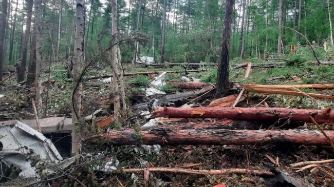 Место крушения пассажирского самолета Ан-24 в Амурской области