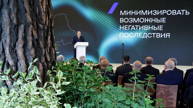 Председатель правительства РФ Михаил Мишустин выступает на пленарном заседании Международной экологической конференции