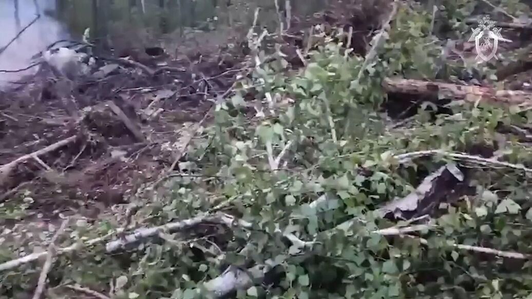 Авиакомпанию "Ангара" проверят на нарушения после крушения Ан-24