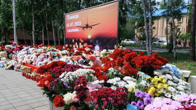 Стихийный мемориал в память о жертвах крушения самолета Ан-24 в Тынде