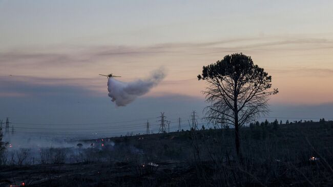 Ликвидация пожара в Афинах. 26 июля 2025