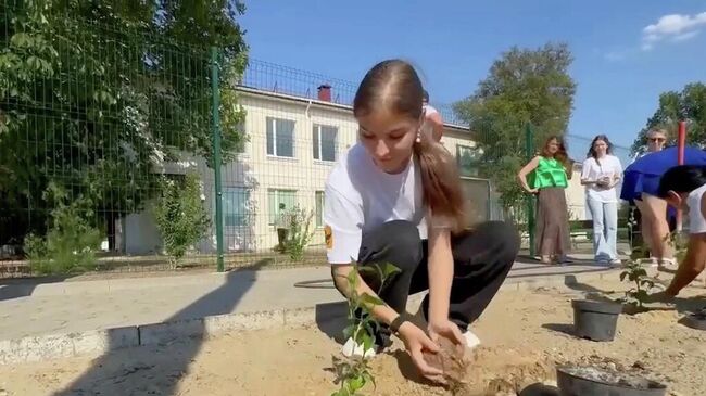 Аллея деревьев-цветов высажена возле Тарасовской школы в Алешкинском муниципальном округе Херсонской области в День памяти погибших детей на Донбассе