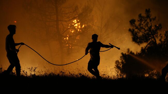 Лесной пожар в Бурсе, Турция. 27 июля 2025