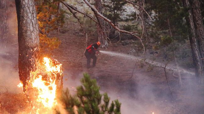 Ликвидация лесного пожара в Анталье, Турция