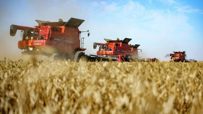 Уборка урожая пшеницы